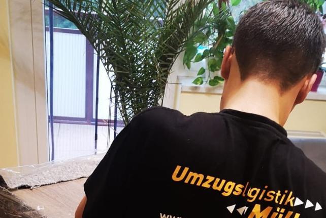 Laborumzug Waldheim stressfrei umziehen 